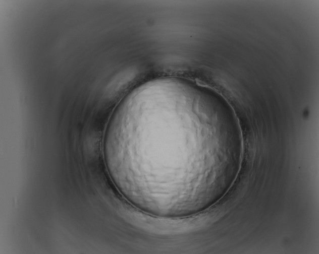 X0000089930034200707061049