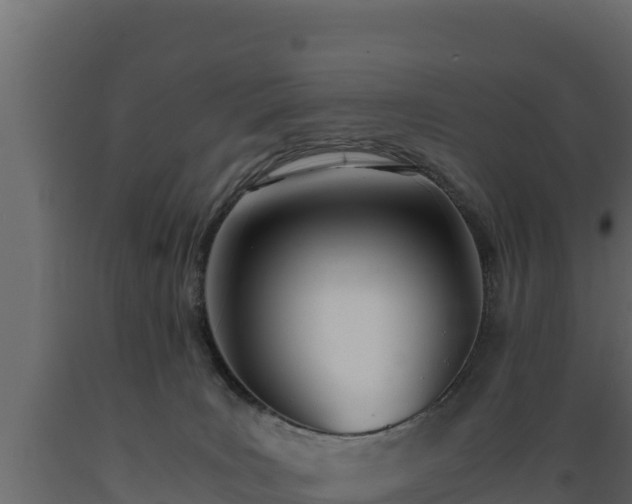 X0000089930035200707061049