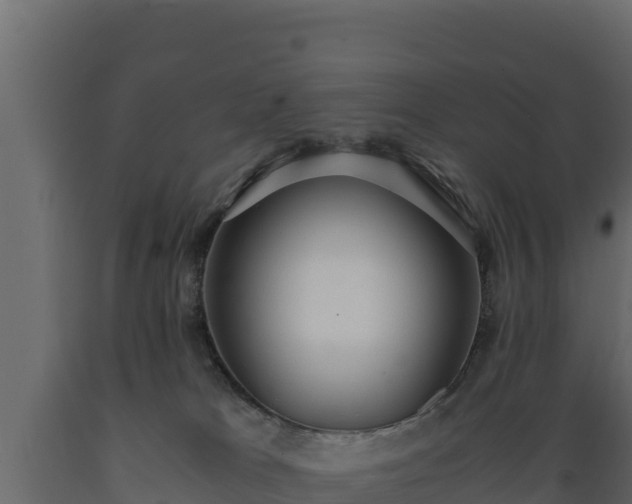 X0000089930037200707061049