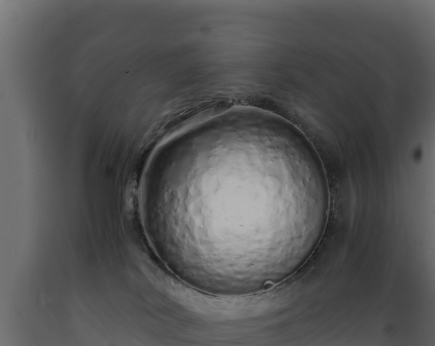 X0000089930038200707061048