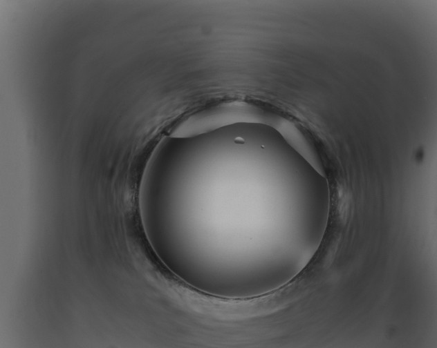 X0000089930039200707061048