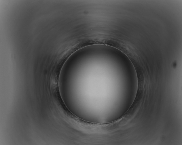 X0000089930040200707061048