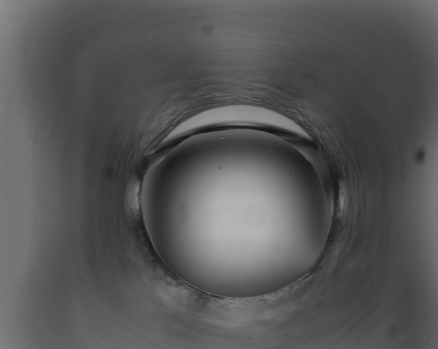 X0000089930041200707061048