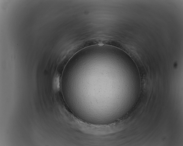 X0000089930042200707061048