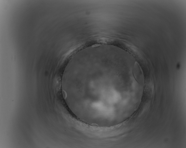 X0000089930043200707061048