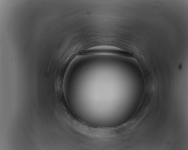 X0000089930044200707061048