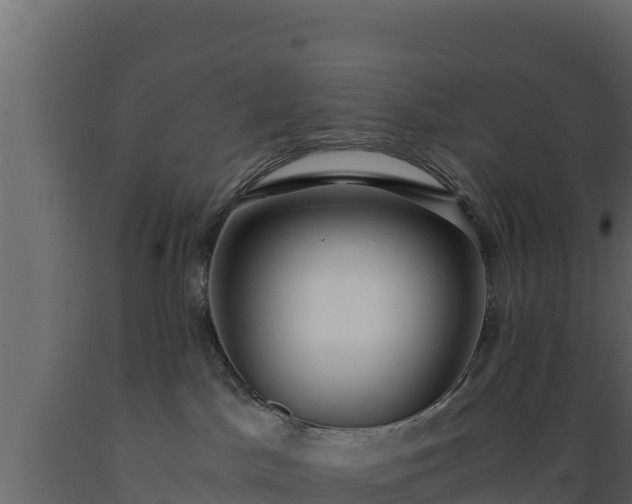 X0000089930045200707061048