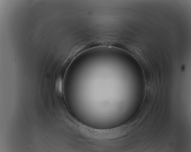 X0000089930046200707061048