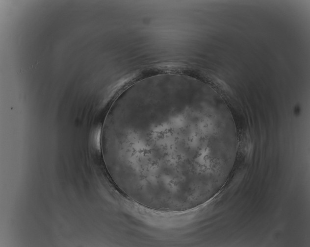 X0000089930047200707061048