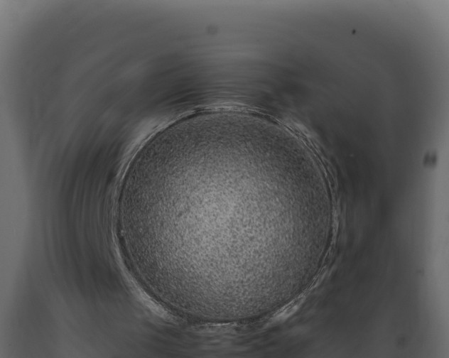 X0000089930049200707061048