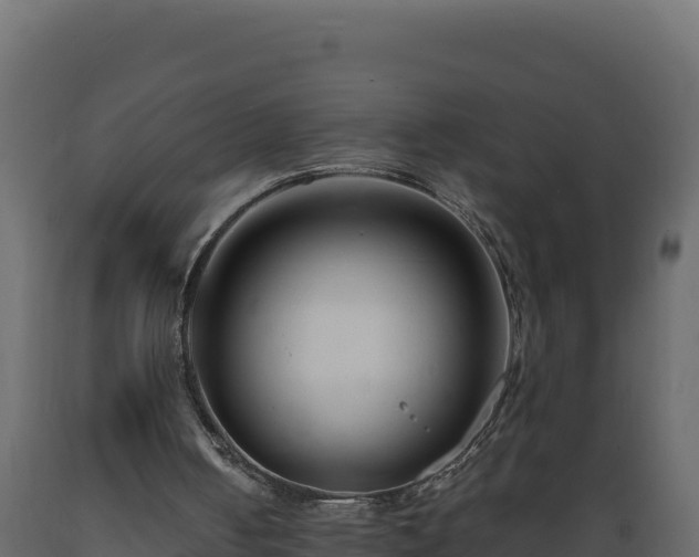 X0000089930050200707061048