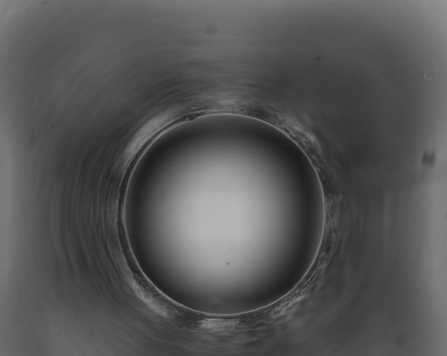 X0000089930051200707061048