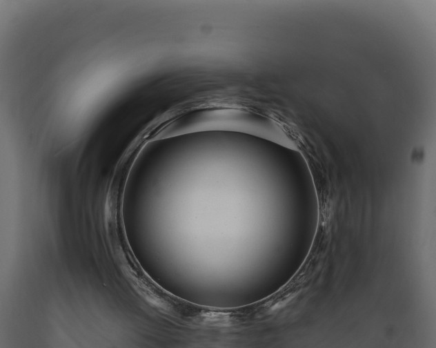 X0000089930052200707061048