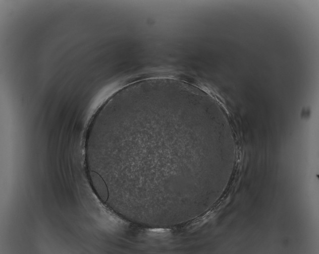 X0000089930053200707061048