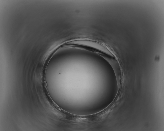 X0000089930055200707061048