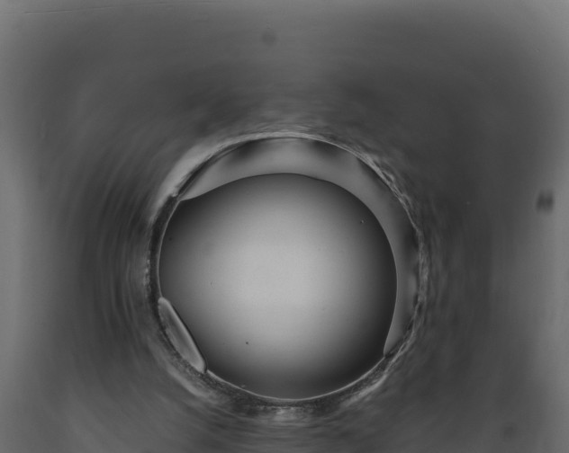 X0000089930056200707061048