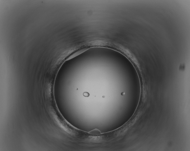 X0000089930057200707061048