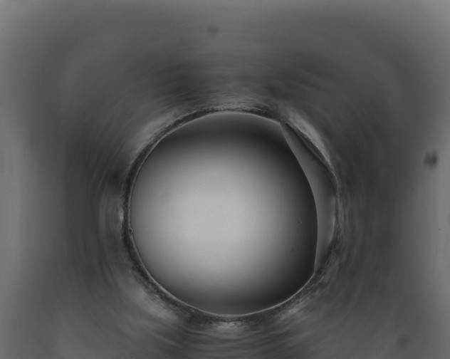 X0000089930059200707061048