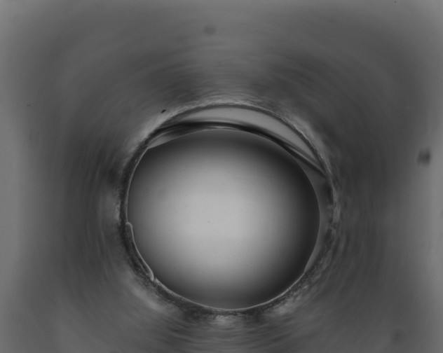 X0000089930060200707061048