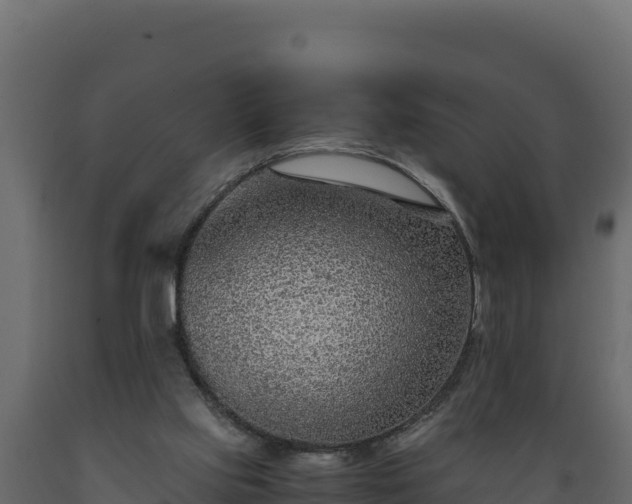 X0000089930061200707061048