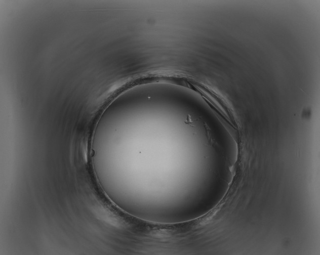 X0000089930062200707061048