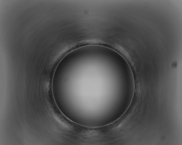 X0000089930063200707061048