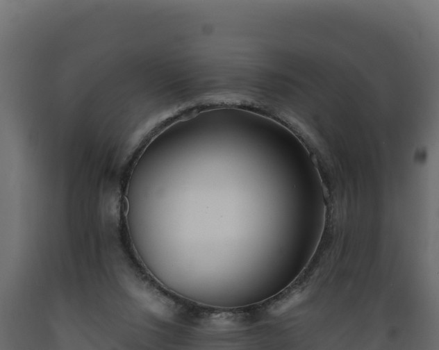 X0000089930064200707061048