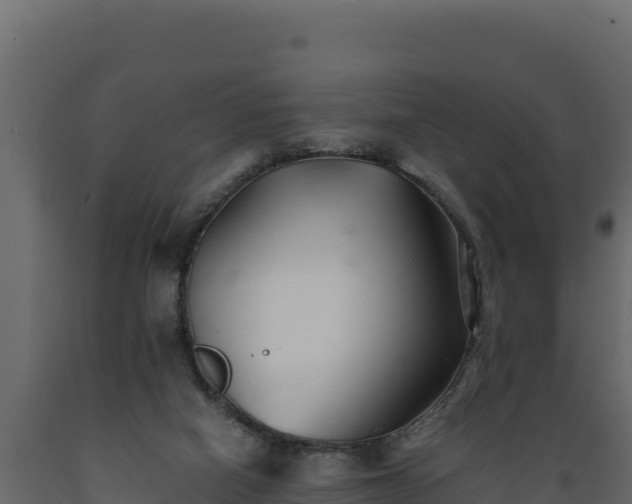 X0000089930066200707061048