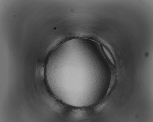 X0000089930067200707061048