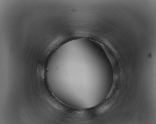 X0000089930068200707061048