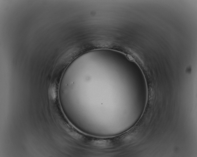 X0000089930069200707061048