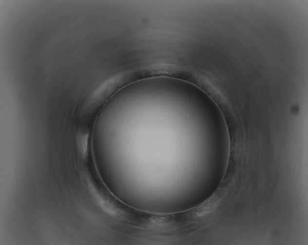 X0000089930070200707061048