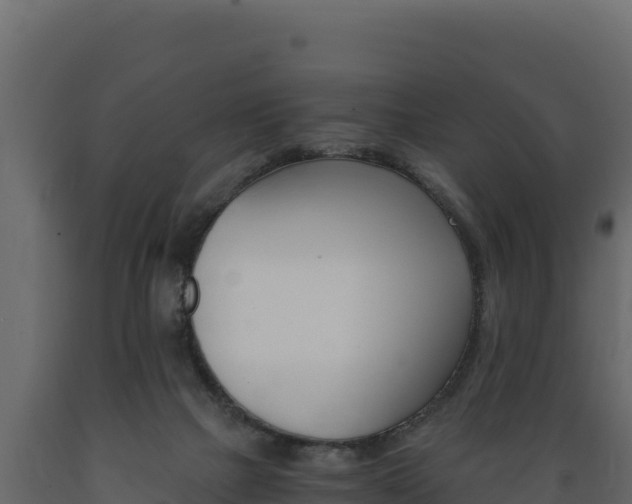 X0000089930073200707061048