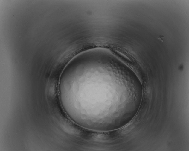 X0000089930074200707061048