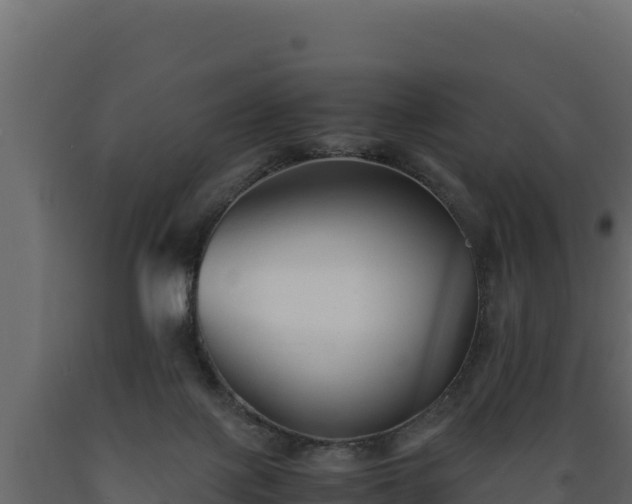 X0000089930075200707061048