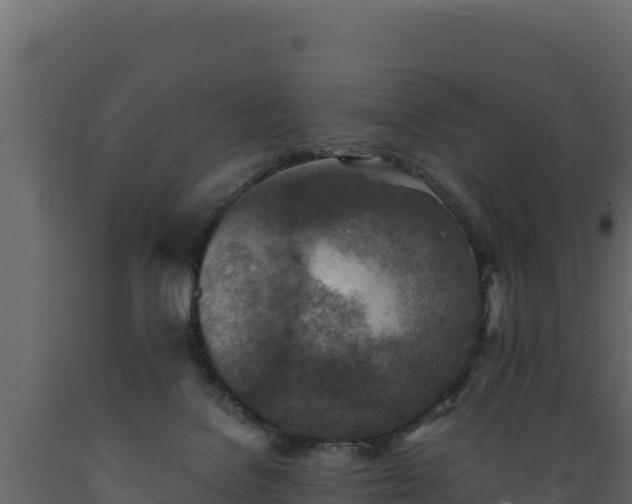 X0000089930076200707061048