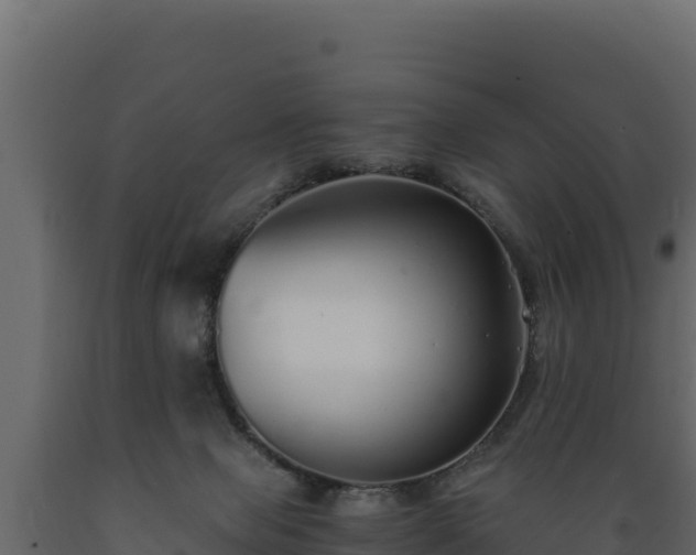 X0000089930077200707061048