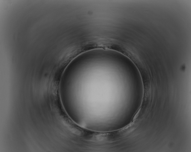 X0000089930078200707061048