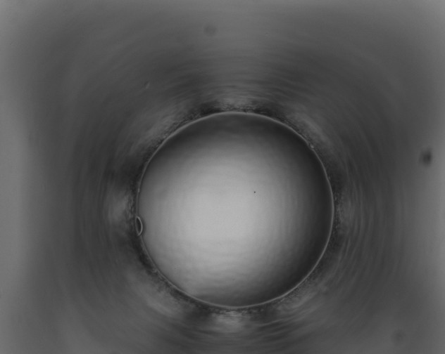 X0000089930079200707061048