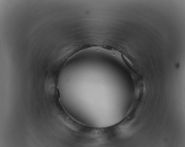 X0000089930080200707061048