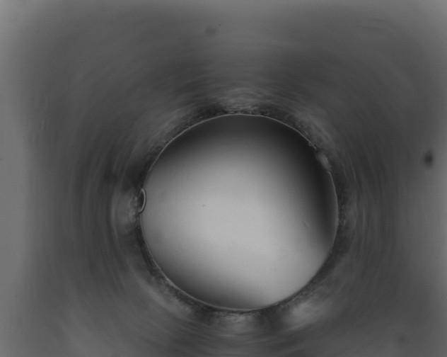 X0000089930081200707061048