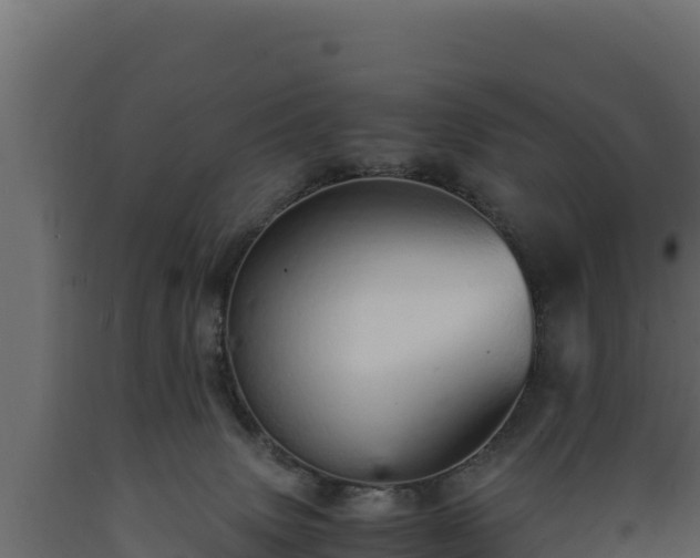 X0000089930083200707061048