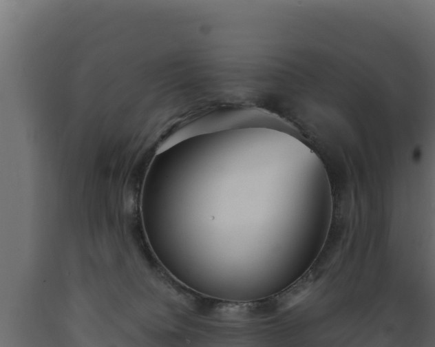 X0000089930084200707061048