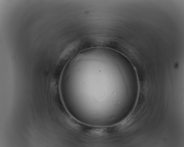 X0000089930086200707061048