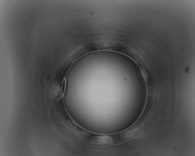 X0000089930087200707061048