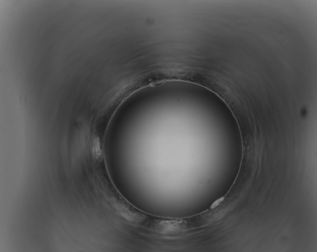 X0000089930089200707061048