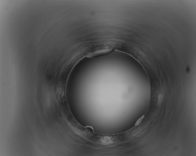 X0000089930091200707061048