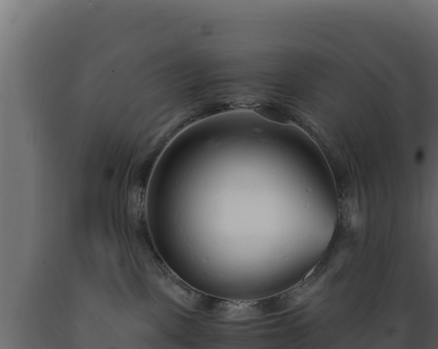 X0000089930093200707061048