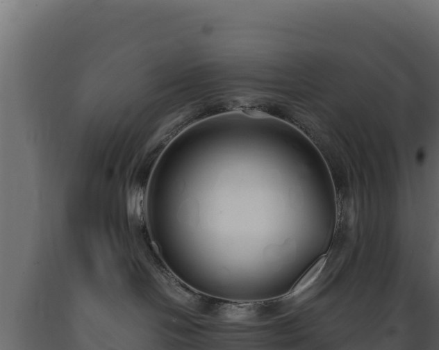 X0000089930094200707061048