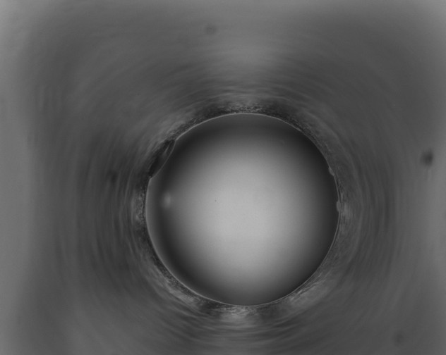 X0000089930096200707061048